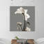 «Gray Luster Cyclamen», reproduction d'impression sur toile-23605330