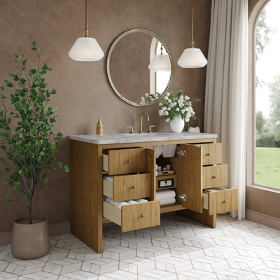Hudson 48 " W Freestanding Standard 1 Single Vanity Bathroom Vanity With Top