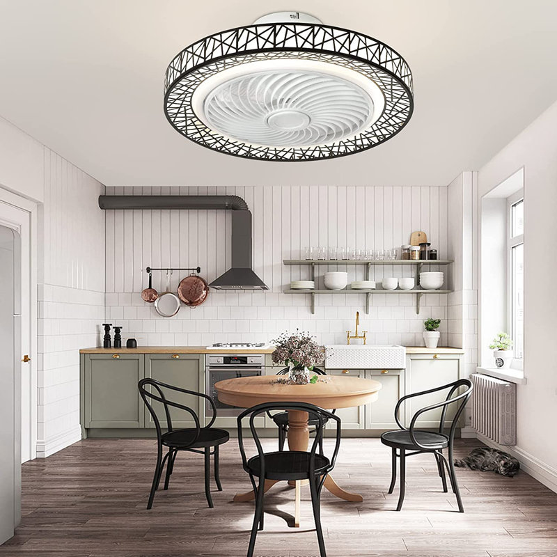 Delena 20'' Ceiling Fan with LED Lights