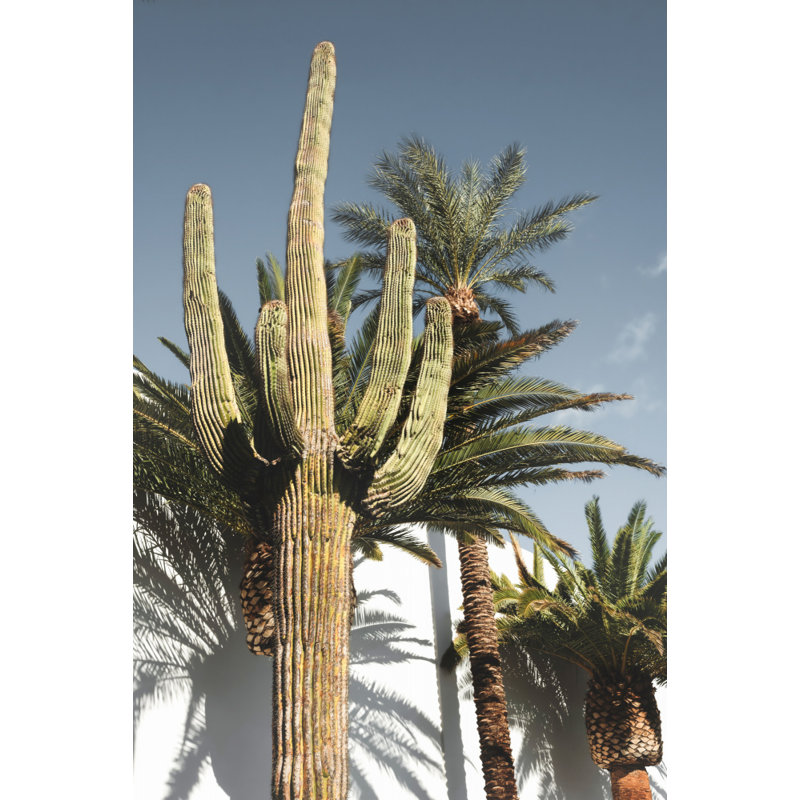Wrapped Canvas Print, 91.44 cm H x 60.96 cm W