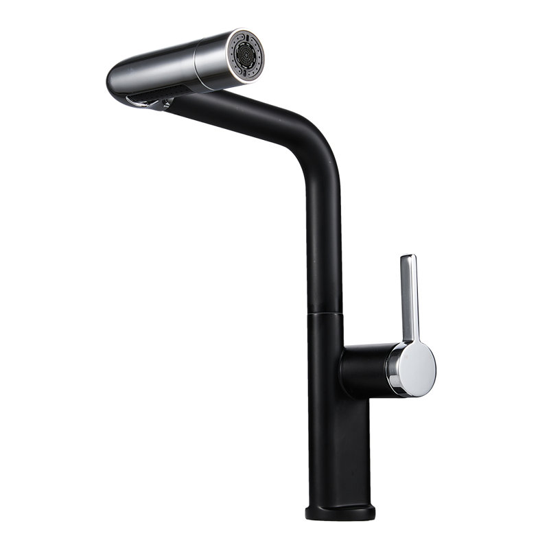 17 Stories Pull Out Kitchen Faucet, Matte Black/Silver