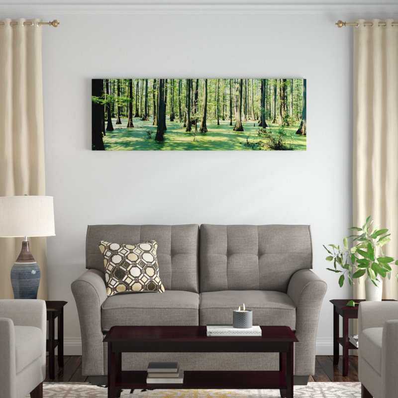 « cypress trees shawn national forest, illinois », reproduction de photo sur toile, H 24 po x l 72 po x P 1,5 po