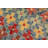 Sterick Wool Indoor Rug