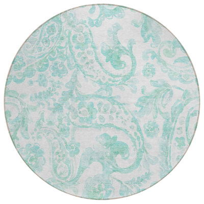 Siriyah Washable Paisley Indoor / Outdoor Rug