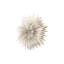 Brooklana 1 - Light Geometric Pendant-305601799-305601801
