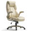 Chaise de bureau Alahni-1467818288