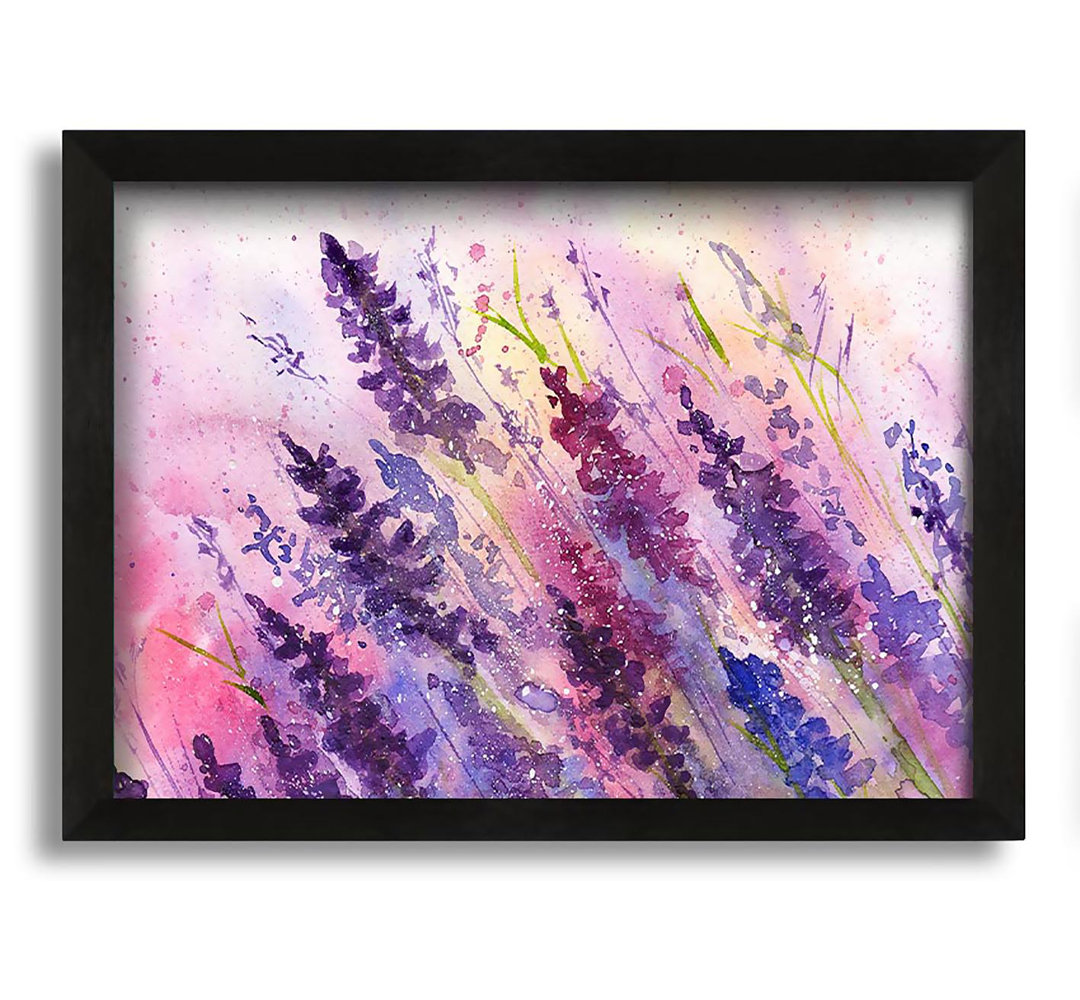 Gerahmtes Leinwandbild Lavender Colour Splash