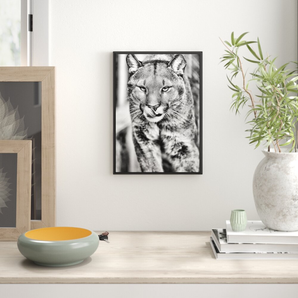 Gerahmtes Wandbild anmutiger Puma