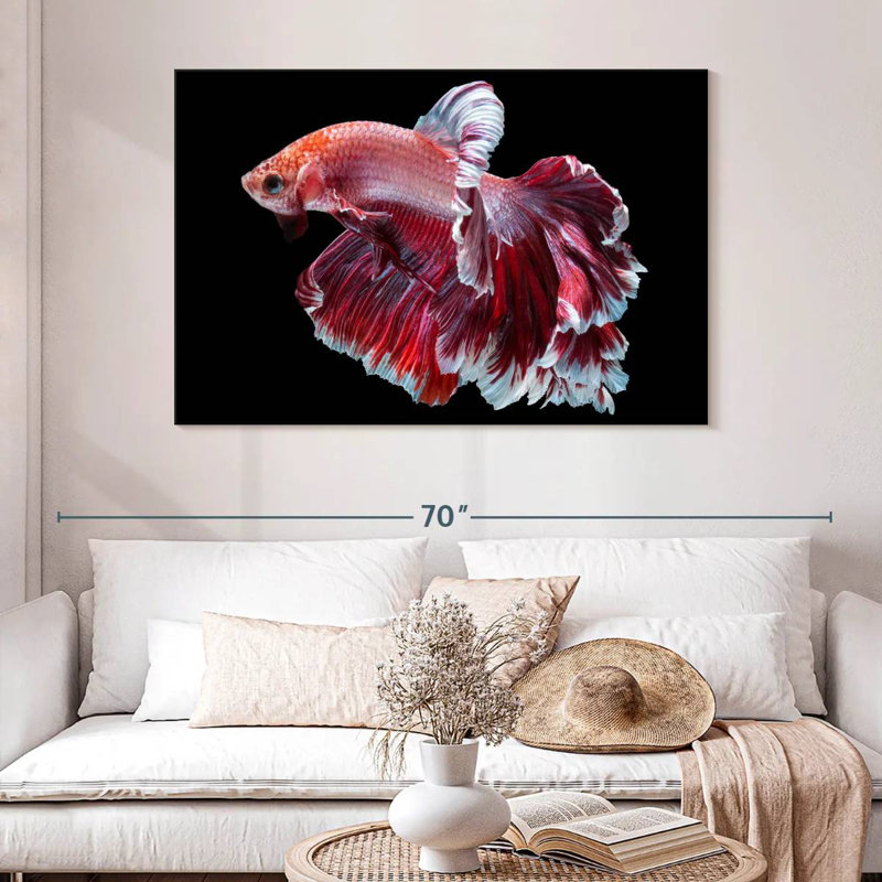 Red And White Betta Fish, 32" H x 48" W