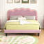 Queen Upholstered Smart LED Bed Frame With Elegant Flowers Headboard,Floating Velvet Platform LED Bed With Wooden Slats Support,Pink-176540474