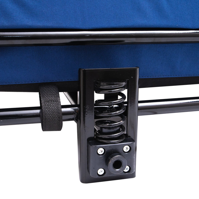 Poussette pour animal de compagnie, grande remorque pour chien, Bleu
