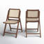 Safavieh Couture Desiree Rattan Patio Folding Chair Set of 2-1028554851