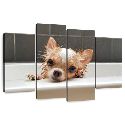 Brampt Chihuahua Bathing
