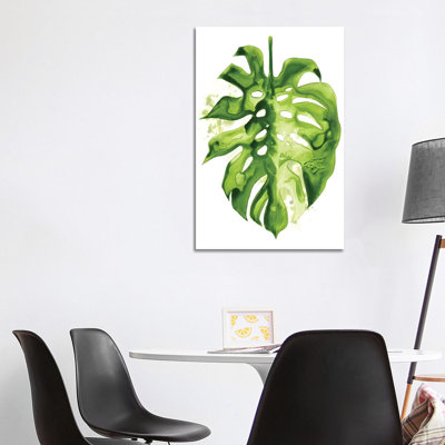 Monstera II by Grace Popp - Wrapped Canvas Print