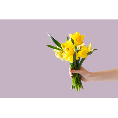 " A Bouquet Of Daffodil "