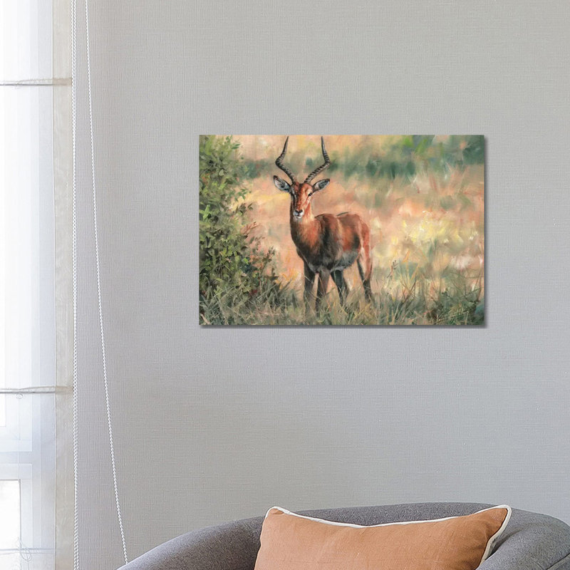 Impala by David Stribbling - Wrapped Canvas Gallery-Wrapped Canvas Giclée, 45.72 cm H  x 66.04 cm W