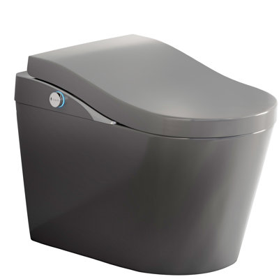 Smart Toilet With Bidet Function, Automatic Flush, Foot Sensor, Heated Seat, Warm Air Dryer, And Foam Technology - Grey, Comfort Height Modern Matte 17.5 Inches