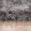 Brundage Hand Woven Area Rug-823453338