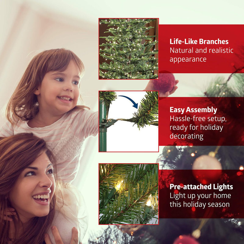 Lighted Christmas Tree