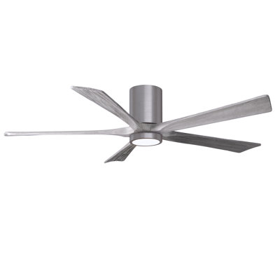 Irene Ceiling Fan with LED Light Kit