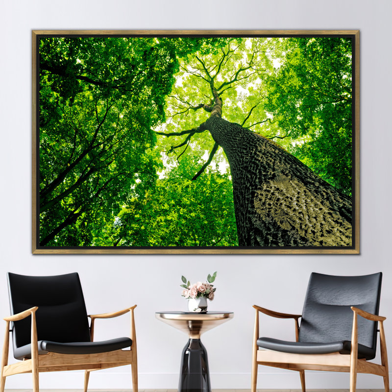 Print on Canvas, Framed Print without Mat, Gold, 20 cm H x 30 cm W