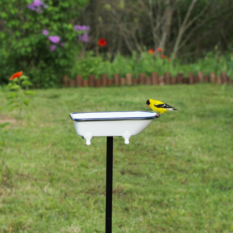 Brander Metal Single Tier Birdbath, White Enamel