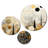 Abstract Wall Decor on Metal