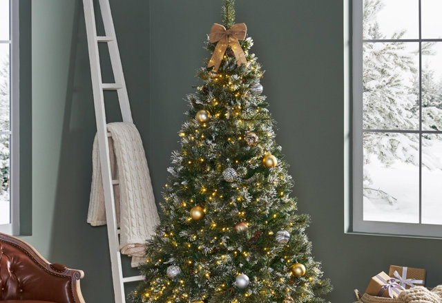 Budget-Friendly Christmas Trees