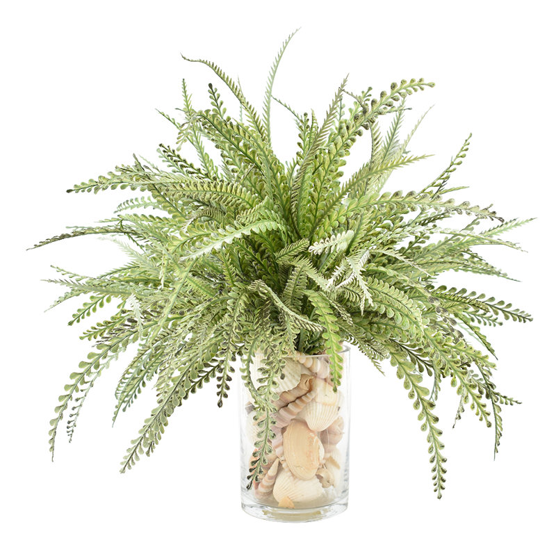 Arrangement de plumes de fougère avec des coquillages