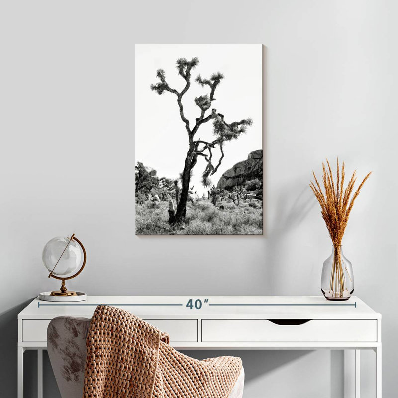 Harnek, Californie, noir, Joshua Tree, H 24 po x l 16 po