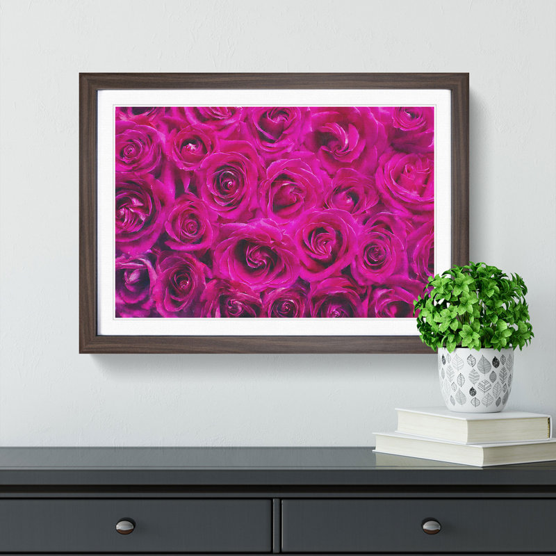 Wall of Bright Pink Roses - Picture Frame Painting Print, Walnut Framed, 24cm H x 33cm W x 2cm D
