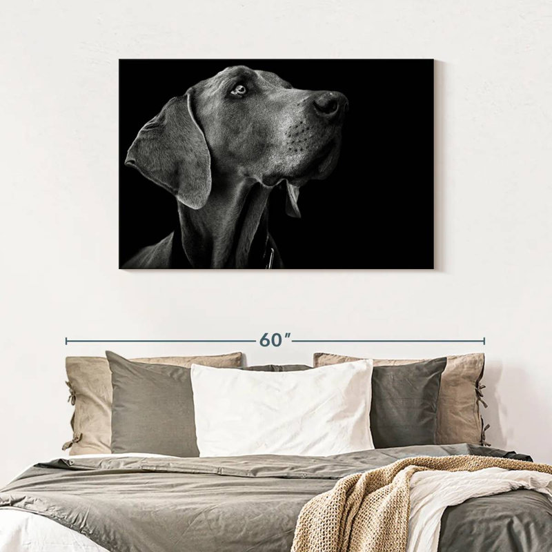 Brampt Monochrome Dog