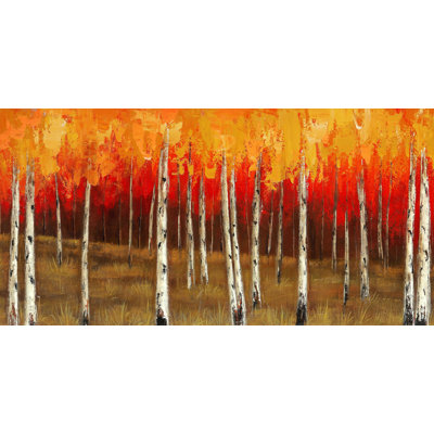 " Autumn Birch Trees "