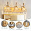 4-Light Vintage Chrome Vanity Light, Flower Glass Shade Bathroom Over Mirror Lighting Fixture-1588077422-1588077428
