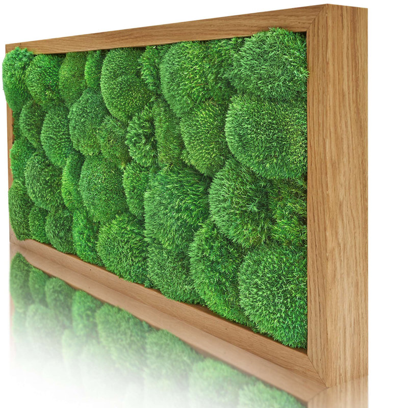 Moosbild Islandmoos Wall Décor, Oak