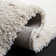 Assar Performance Indoor Rug
