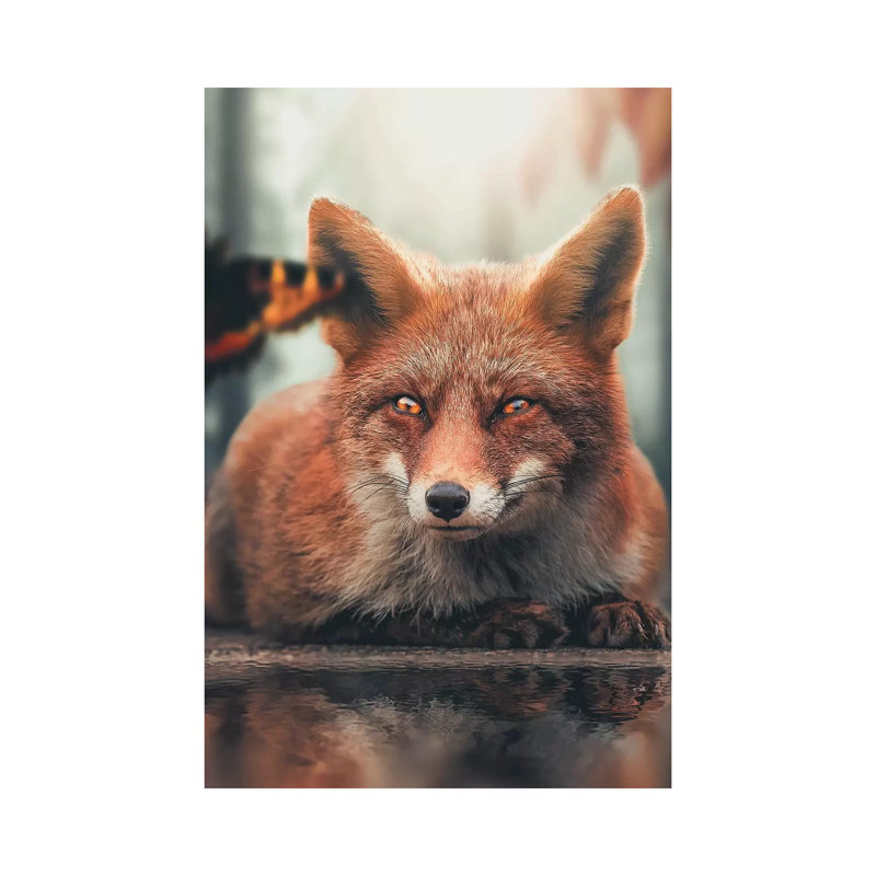 Fox Reflection Butterfly by Zenja Gammer - Print on Canvas, Wrapped Canvas, 66.04 cm H x 45.72 cm W x 1.91 cm D