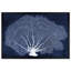 «Nautical and Coastal Coral Fan», impression d'art graphique sur papier-25408917-25408913