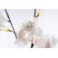 Vaporisateurs de fleurs cerises-218926023