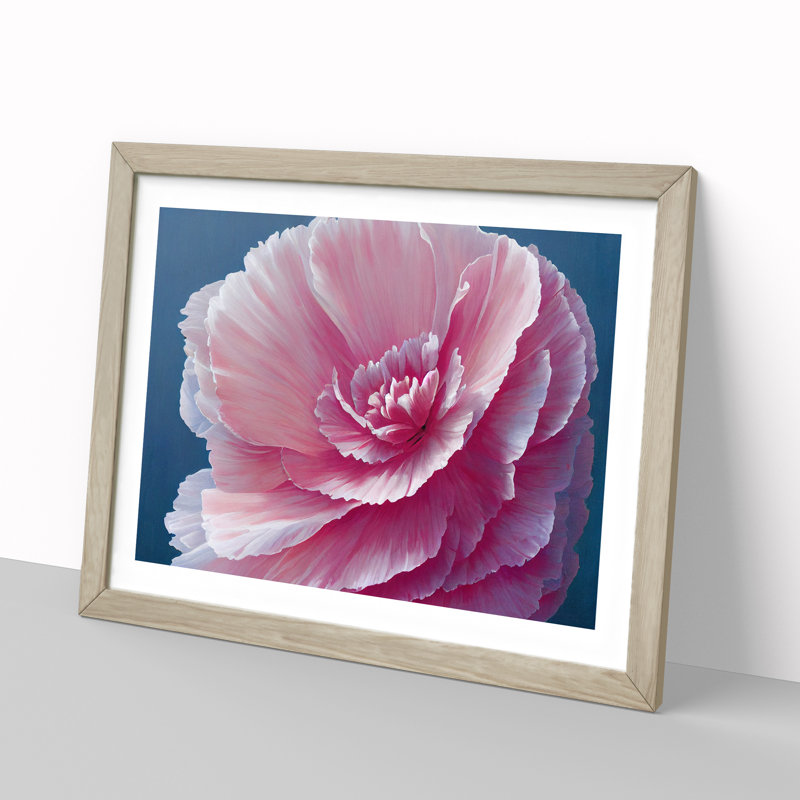 Overwhelming Carnation Flower - Single Picture Frame Print, 25cm H x 34cm W x 2cm D, Oak
