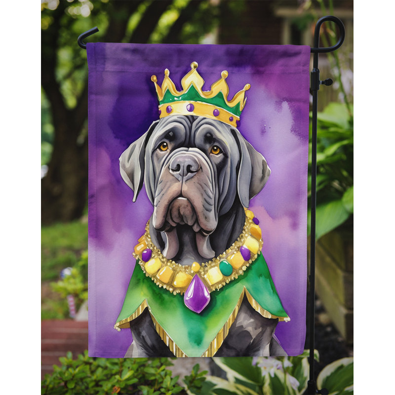 Double Sided 15.5'' H x 11.25'' W Polyester Mardi Gras Garden Flag