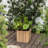 Morry Cube Planter Box