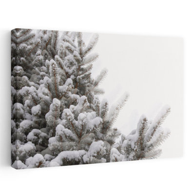 Snowy Pine Branches Peaceful Serene Abstract Evergreen Tree Pine Tree Fir Nature Winter Wall Art Print