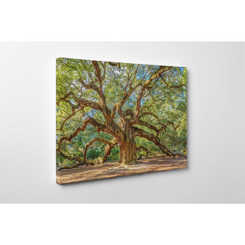Impression sur toile tendue, H 30 po x l 40 po x P 1 po