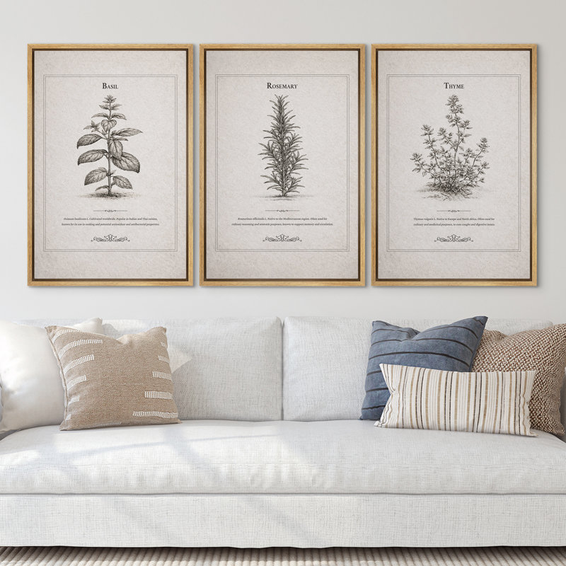 "Herb Botanical Artwork" of Basil, romarin, thym, art mural encadré sur toile, impression de 3 pièces, H 36 po x l 24 po
