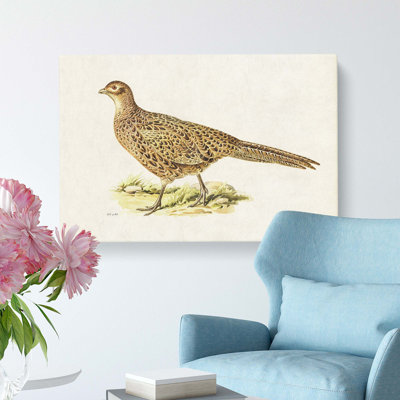 Pheasant by Von Wright - Wrapped Canvas