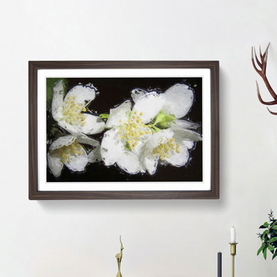 White Jasmine Flowers - Framed Print