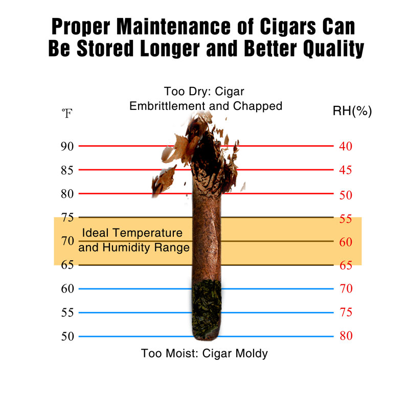 Humidor cigares