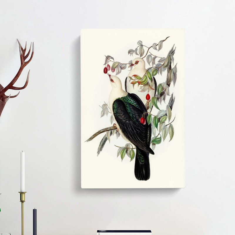 White Headed Fruit Pigeons by Elizabeth Gould - Wrapped Canvas, 76cm H x 50cm W x 3cm D