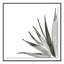 Agave I Print by Jess Engle-48615483-48615485